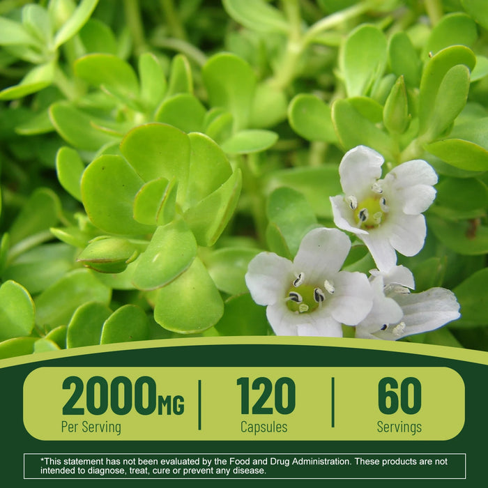 Bacopa Monnieri Extract - Boosts Brain Health, Helps Clear Thinking and Improves Memory,  Enhances Energy and Stamina