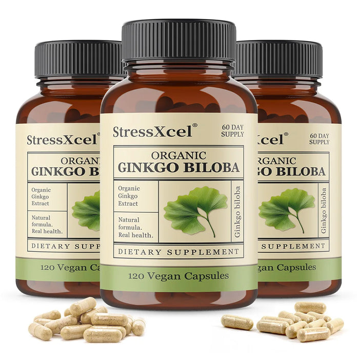 Ginkgo Biloba Supplements for Brain Health Support, Improve Mood and Focus, Helps Maintain Circulation & Cognitive Health
