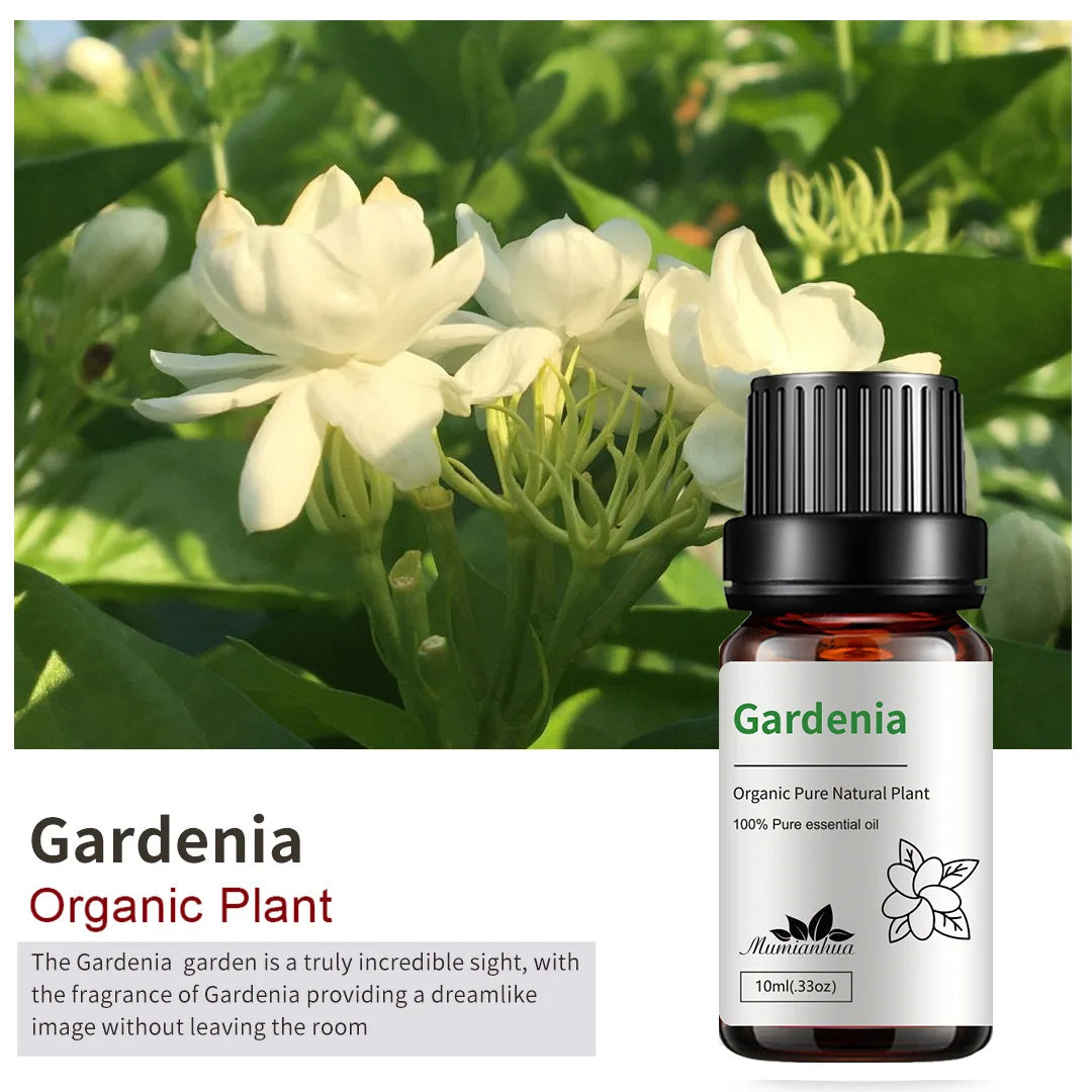 gardenia