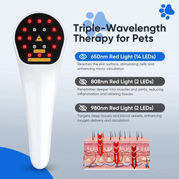 Physiotherapy Instrument Cold Near Infrared Light Therapy Device Fast Recovery Treatment Veterinary Dog Cat Horse Pain Relief