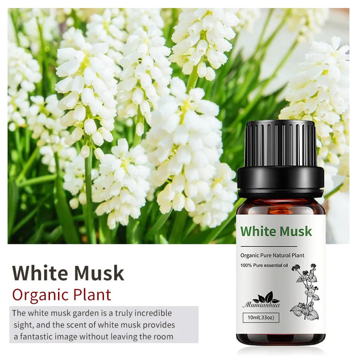 10ml Candle Scents Freesia Single Essential Oil Jasmine Aromatherapy Massage Flower Essential Oil Soap Scent
