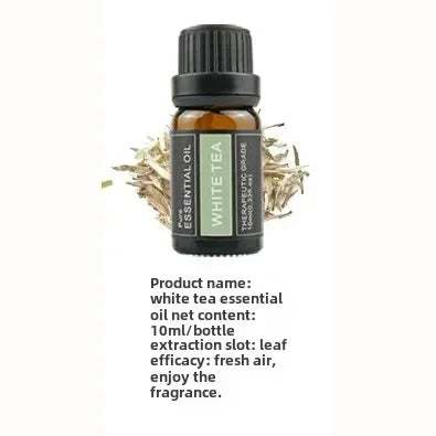10ml Single Pack Plant Essential Oils - Thyme, Valerian, Tea Tree, Lavender, Massage & Aroma Natural Oils for Relaxation