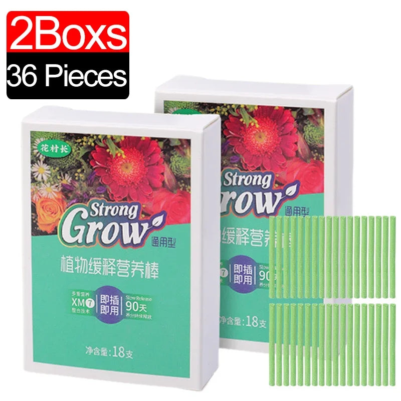 2boxs36-pieces