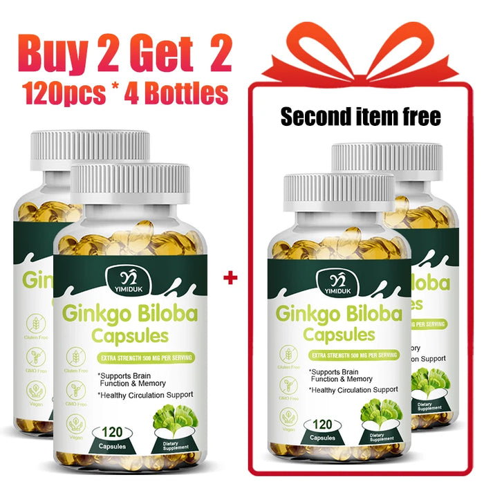 Ginkgo Biloba Extract Supplement, for Promote Blood Circulation, Antioxidant, Supports Brain Function & Memory, Mood Stabilizer