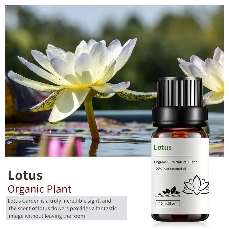 lotus
