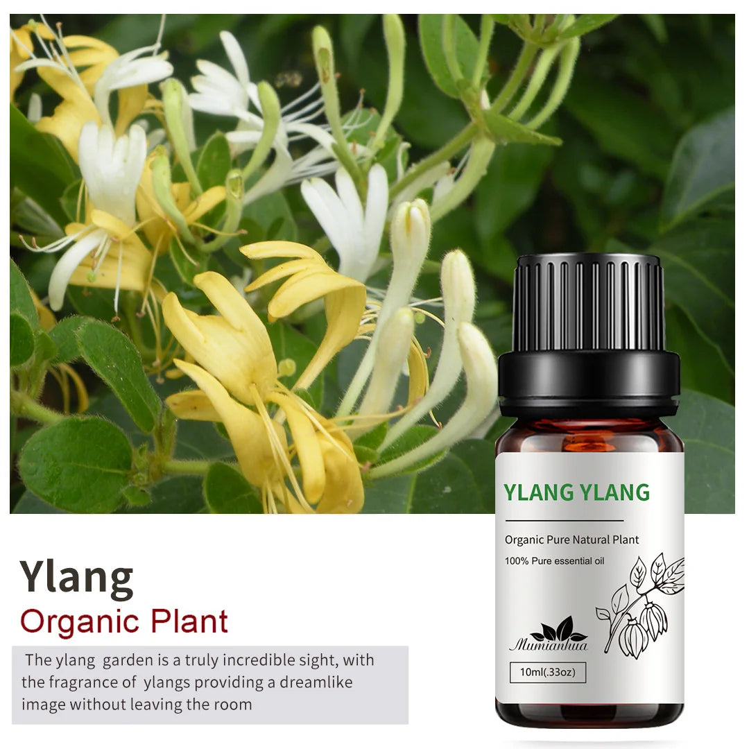 ylang