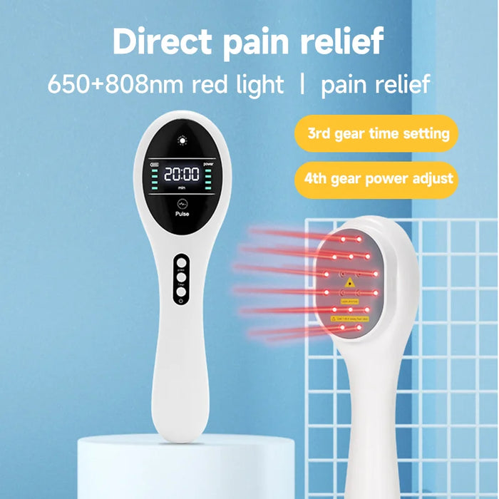 Fast Recovery and Infection Treatment Veterinary Cold Diode Laser Therapy Machine Dog Cat Horse Pain Relief