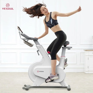 Exercise Professional Gym Home Fitness Spinning Bike