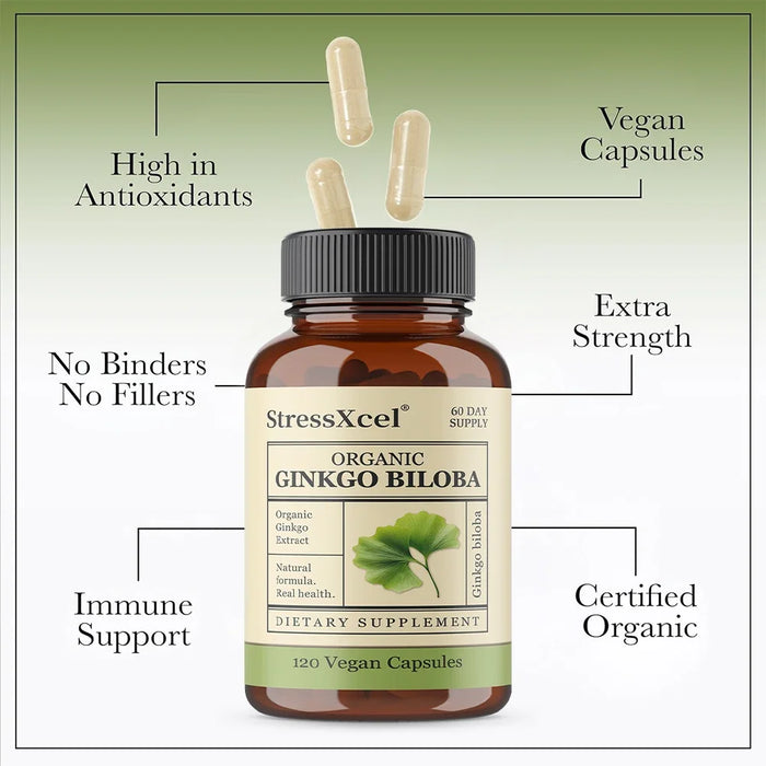 Ginkgo Biloba Supplements for Brain Health Support, Improve Mood and Focus, Helps Maintain Circulation & Cognitive Health