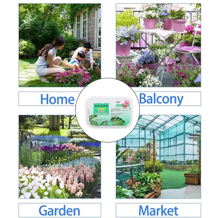 100x Plant Nutrition Bars Nitrogen Phosphorus Potassium for Healthy Growth of Plant Fruit Vegetables Flowers Compound Fertilizer