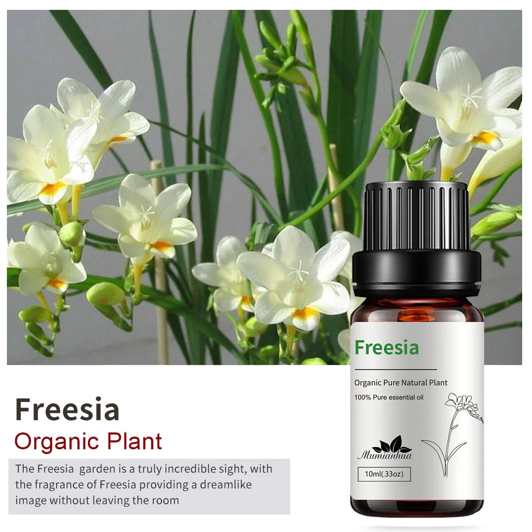 freesia