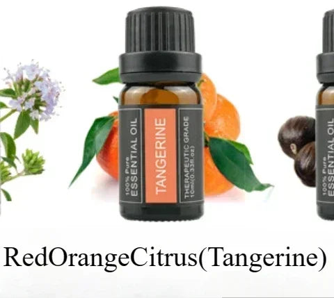 10ml Single Pack Plant Essential Oils - Thyme, Valerian, Tea Tree, Lavender, Massage & Aroma Natural Oils for Relaxation