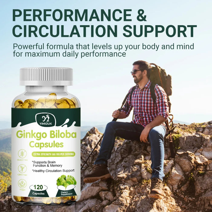 Ginkgo Biloba Extract Supplement, for Promote Blood Circulation, Antioxidant, Supports Brain Function & Memory, Mood Stabilizer