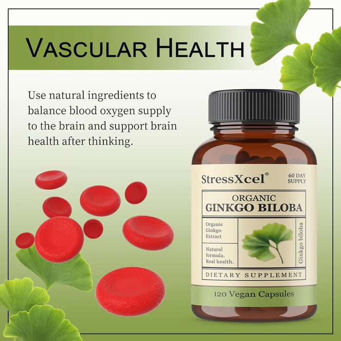 Ginkgo Biloba Supplements for Brain Health Support, Improve Mood and Focus, Helps Maintain Circulation & Cognitive Health