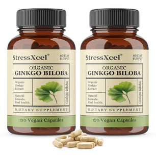 Ginkgo Biloba Supplements for Brain Health Support, Improve Mood and Focus, Helps Maintain Circulation & Cognitive Health