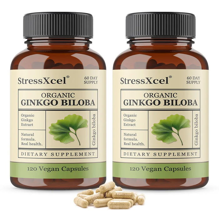 Ginkgo Biloba Supplements for Brain Health Support, Improve Mood and Focus, Helps Maintain Circulation & Cognitive Health