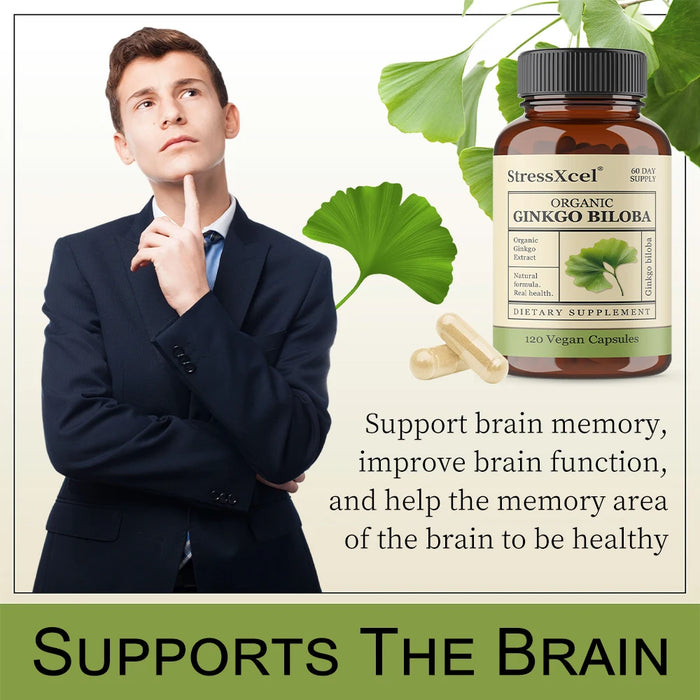 Ginkgo Biloba Supplements for Brain Health Support, Improve Mood and Focus, Helps Maintain Circulation & Cognitive Health