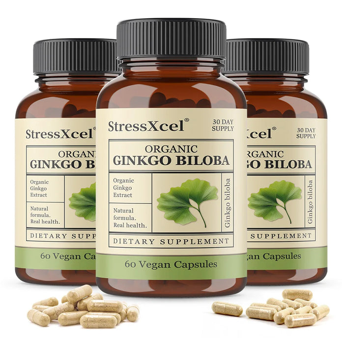 Ginkgo Biloba Supplements for Brain Health Support, Improve Mood and Focus, Helps Maintain Circulation & Cognitive Health