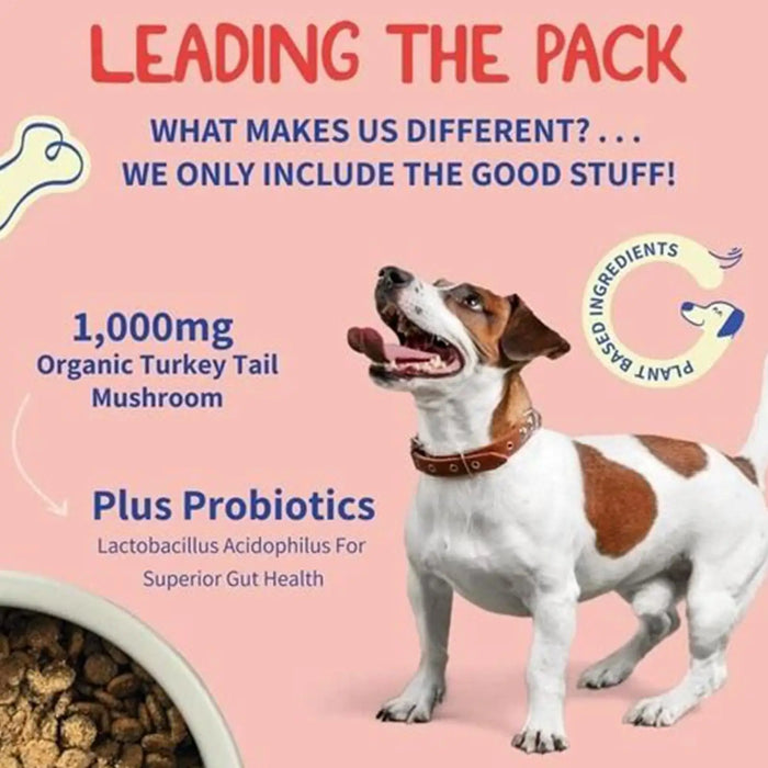 Dog intestinal flora regulation Dog Digestive Support Improved Digestion Supplement Pet Supplies for Puppy Travel Wellness