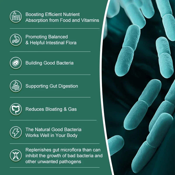 Organic Probiotics Capsules Supplement 100 Billion CFU 500mg Probiotics Helps Gut Health, Balanced Gut Probiotics