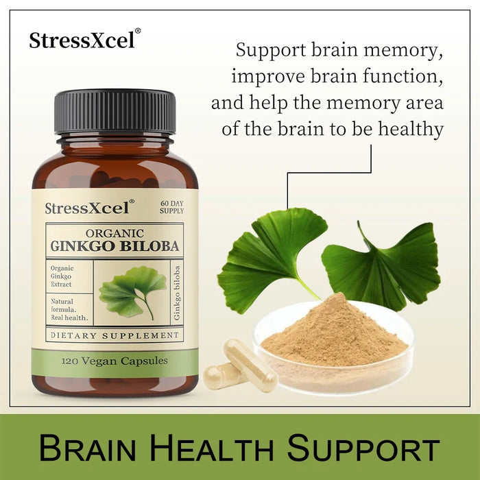 Ginkgo Biloba Supplements for Brain Health Support, Improve Mood and Focus, Helps Maintain Circulation & Cognitive Health