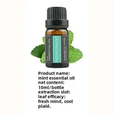 10ml Single Pack Plant Essential Oils - Thyme, Valerian, Tea Tree, Lavender, Massage & Aroma Natural Oils for Relaxation