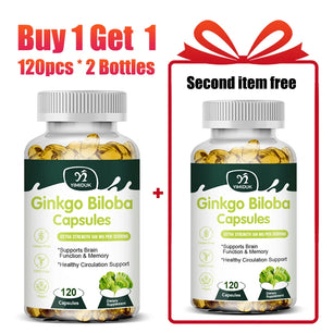 Ginkgo Biloba Extract Supplement, for Promote Blood Circulation, Antioxidant, Supports Brain Function & Memory, Mood Stabilizer