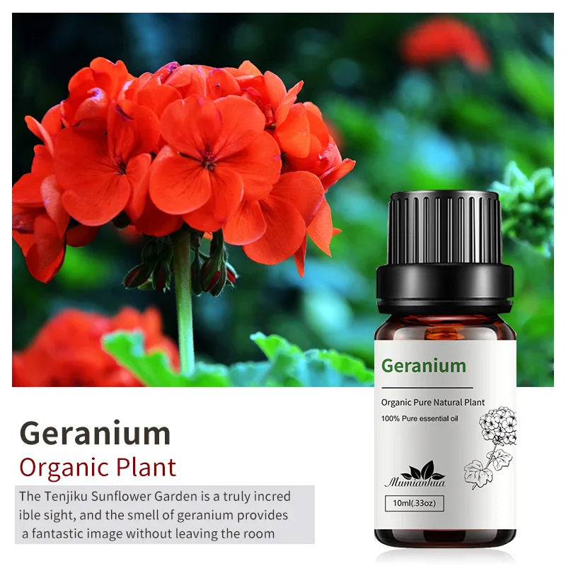 geranium