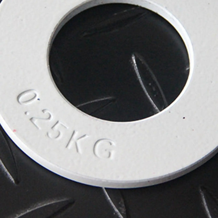 Micro Fractional Weight Plate .25-1kg Micro Fraction Low Weight Disc