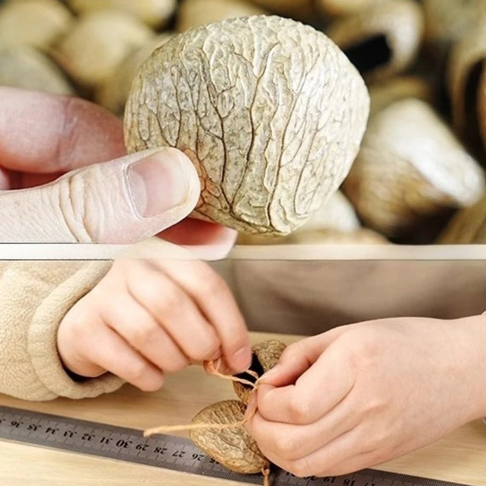 Mindfulness Wind Chimes Diapason Meditation Wind Chime Yoga Relaxation Nut Shell Bells Sound Healing Musical Instrument Bell