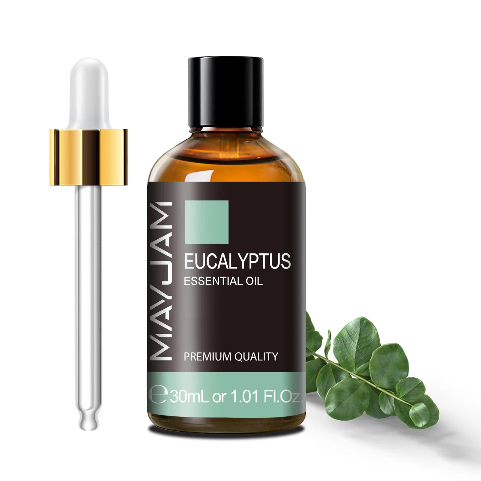 eucalyptus