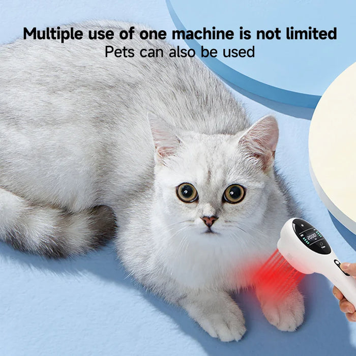 Fast Recovery and Infection Treatment Veterinary Cold Diode Laser Therapy Machine Dog Cat Horse Pain Relief