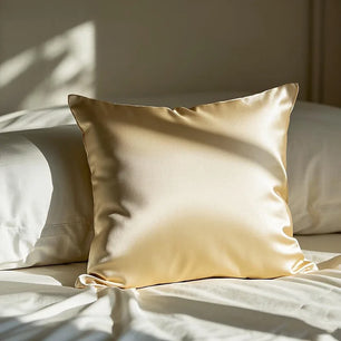 2 Pack Satin Pillow Covers 60*60cm Solid Color Lustrous Cushion Cases Modern Minimalist Home Decor for Sofa Bedroom Living Room