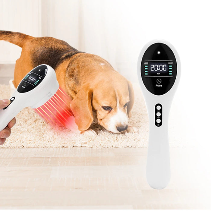 Fast Recovery and Infection Treatment Veterinary Cold Diode Laser Therapy Machine Dog Cat Horse Pain Relief